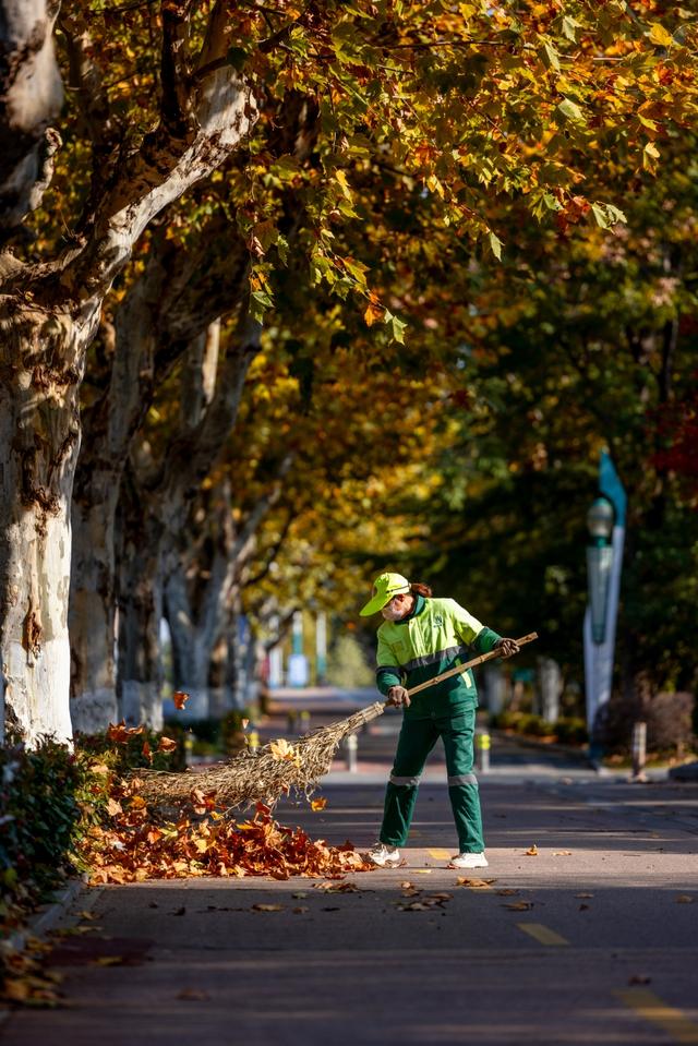 从“不扫”变“缓扫”，苏州用十五年守护秋日温暖！