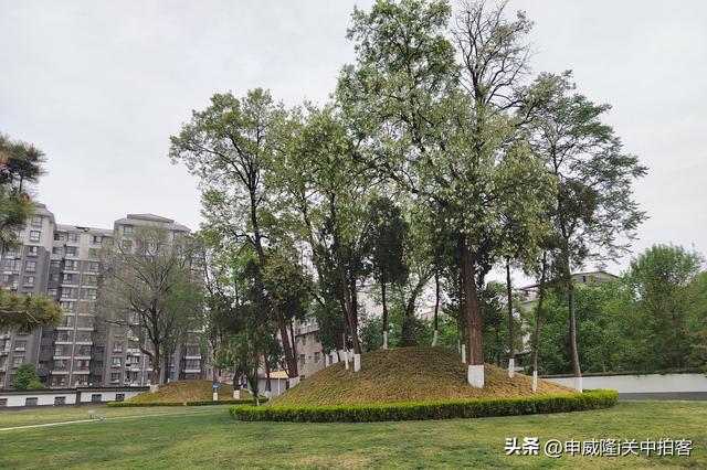 商洛市：寻访四皓墓（商州汉墓群）