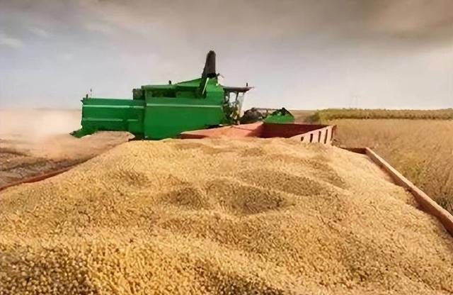 宁愿赔钱也要把粮食卖中国！美国的粮食垄断梦，如何被中国瓦解？