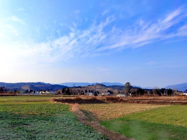 新来的女同事24岁，第一天就问我：哥，听说你是公司“老司机”