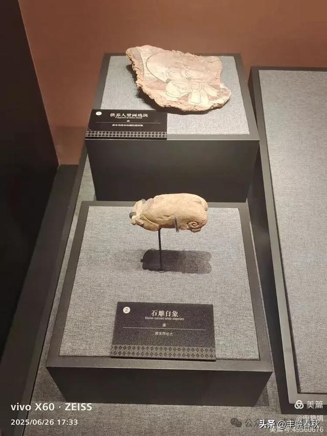 穿越千年的丝路回响：走进龟兹博物馆｜申艳娟