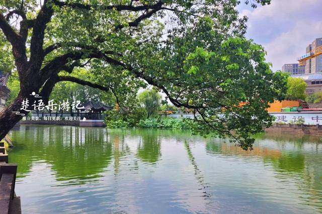浙江宁波最具诗意的风景，荷花亭台相互映衬，古韵盎然景美如画