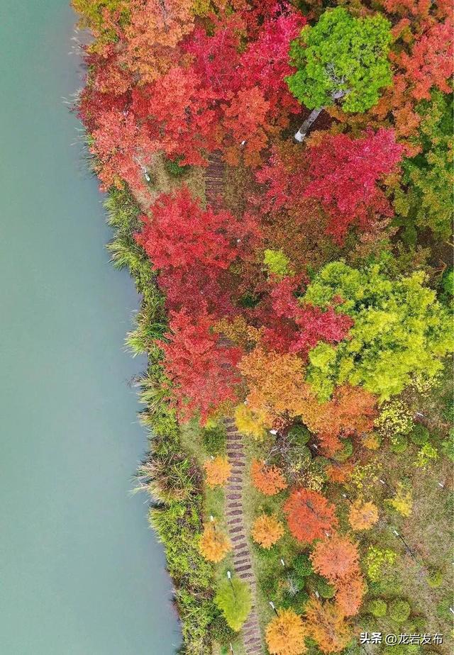 龙岩周末去哪儿｜秋的余温，藏在龙岩这些地方→