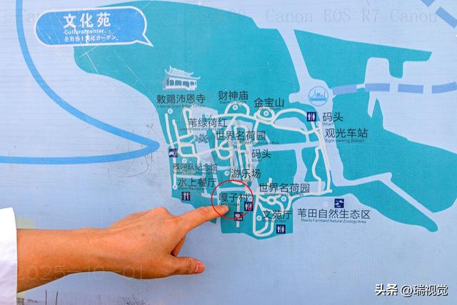 白洋淀"嘎子饭铺"：从门庭若市到门可罗雀，“扎胎事件”余波未平