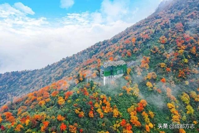 免门票！限定绝美秋色，错过等一年→