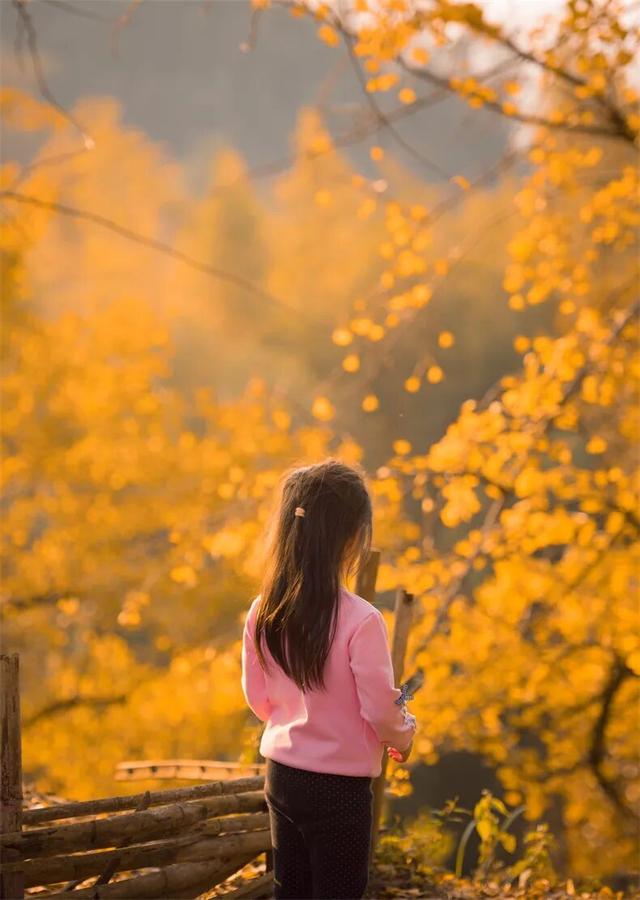 11月旅行地推荐！这13个赏秋地无对手，还藏着国内四大绝美秋色