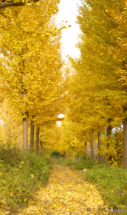 涉县：美拉德配色里，藏着橙黄橘绿的诗意