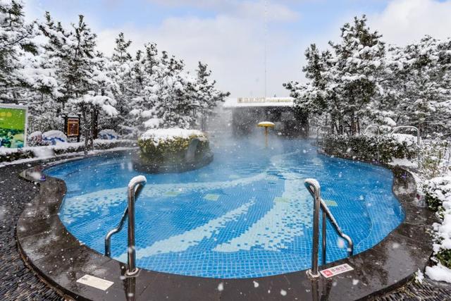 天鹅畅游圈剧透：五部恋歌，首篇「天鹅絮语」上线！