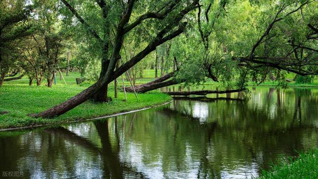 上海值得去的6个公园推荐！全部免费，好看又好玩！你都去过几个