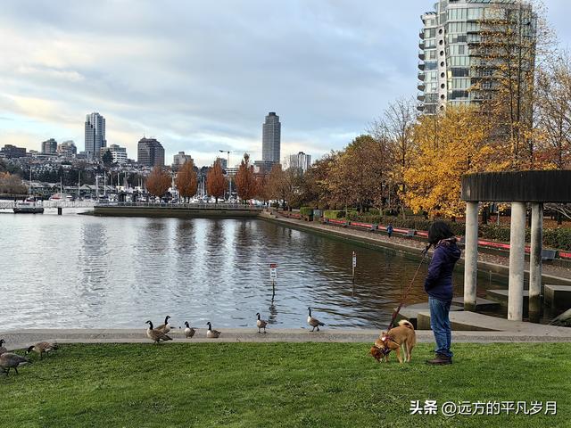 温哥华游记（六）