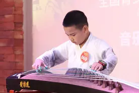 知名品牌筝与网络杂牌筝！在价格与品质上你会怎么选？图片