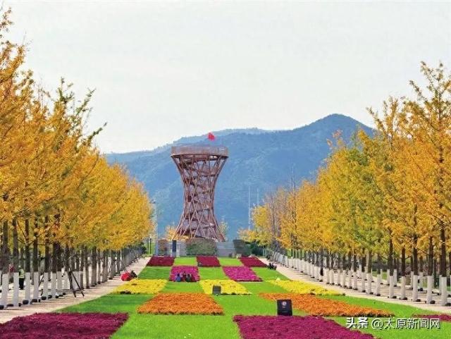 “刷爆”山西人朋友圈的金色，谁看谁心动