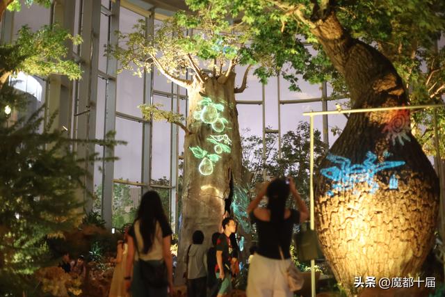 温室花园夜游启幕！下雨浇不灭游客热情