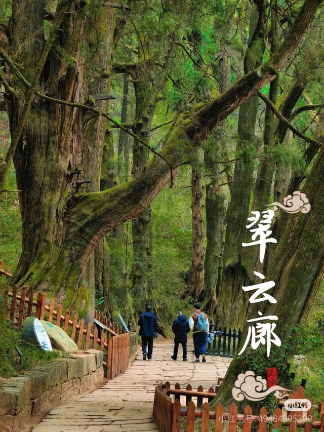 全部免费！成都周边10条最适合9月的徒步线，沿途风光美爆！当天来回不费腿！