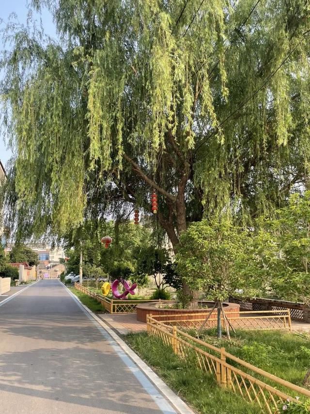 现场实拍界牌镇张家埭村，村景好美
