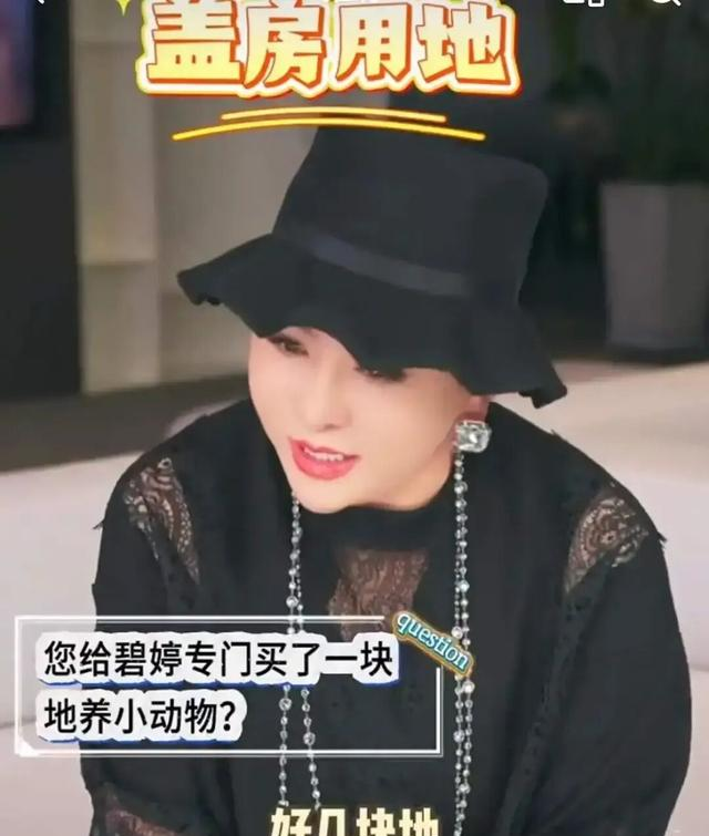 看了郭碧婷父女的开支，才懂豪门儿媳有多难