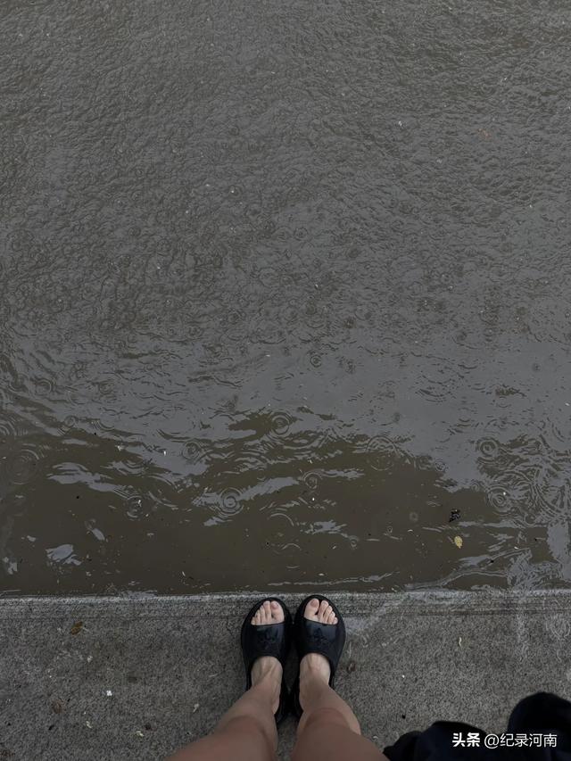 雨后郑州：金水区