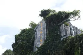 在“国际熊猫日”这天，“汉语桥”选手和动物朋友们见面啦！图片