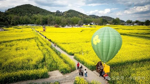 记得抢券哦！来崇州赏花福利多多