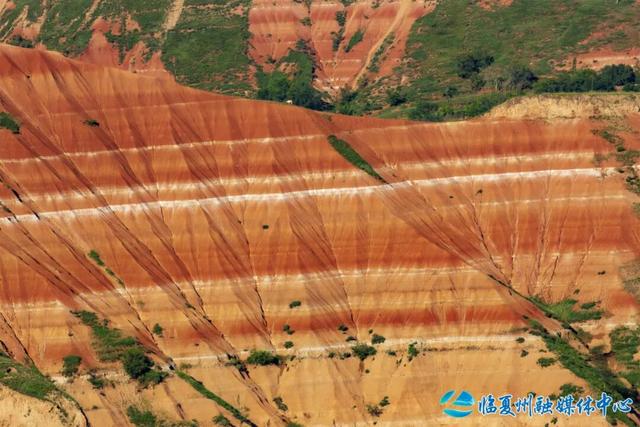 东乡大地的浪漫情书——“羊肉卷”