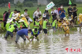 500多名小朋友田间研学嗨翻天图片