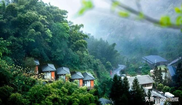 好一片“绿茶”！被达州大竹这片万亩茶海治愈了