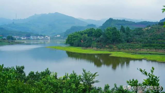 眉山东坡区藏了个神仙小镇！天空之镜、荷花、天梯、古戏台…