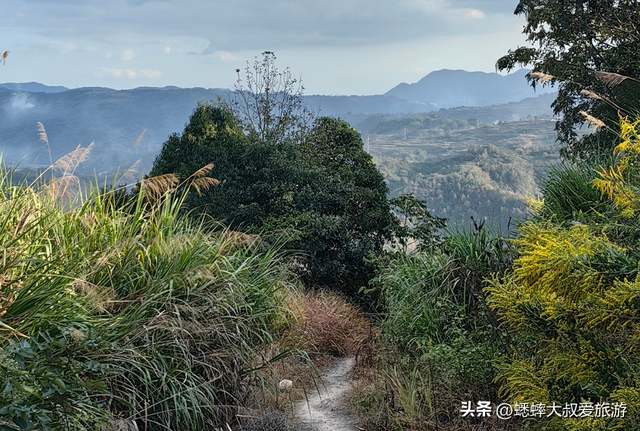 浙江“天花板古道”真棒，一路绿野仙踪，为懒人周末充电地！