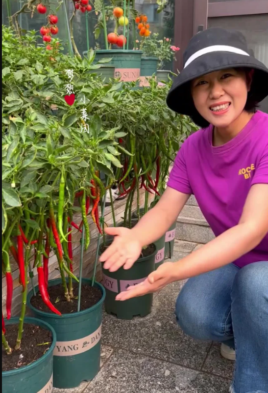 哈尔滨一公园“拿辣椒当花种”，竟十分好看，网友：回归老本行了
