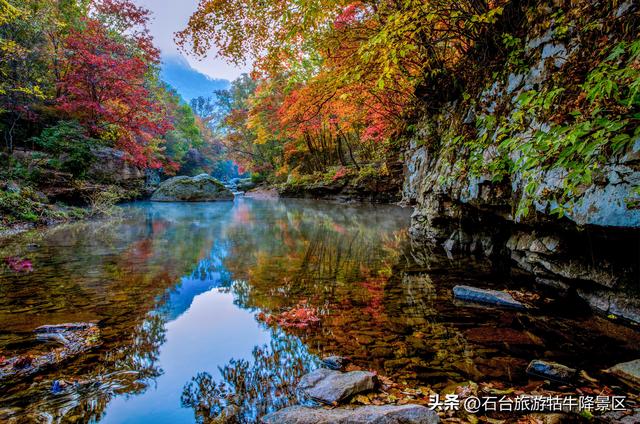 致静待重逢的你