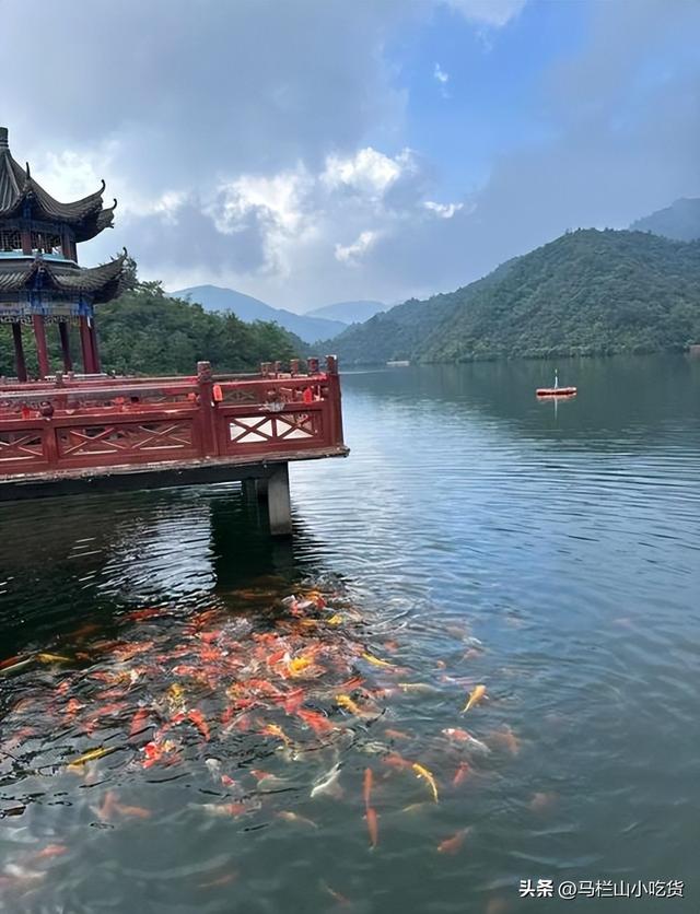 湖南永州阳明山打卡攻略 | 邂逅22℃的清凉与美好！