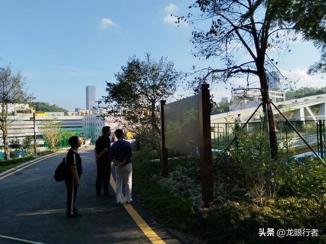 从地铁口出发，游逛刚刚开放的鲲鹏径二号及三号桥