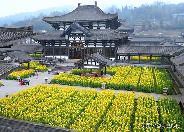 四川最美田园寺庙，寺中金黄油菜花超级惊艳，一座壮观盛唐庙宇！