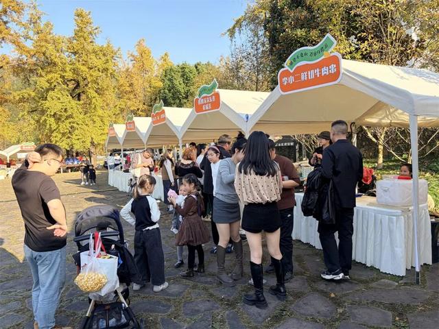 火爆！富阳这个村，超美超好逛！今明两天，招募！