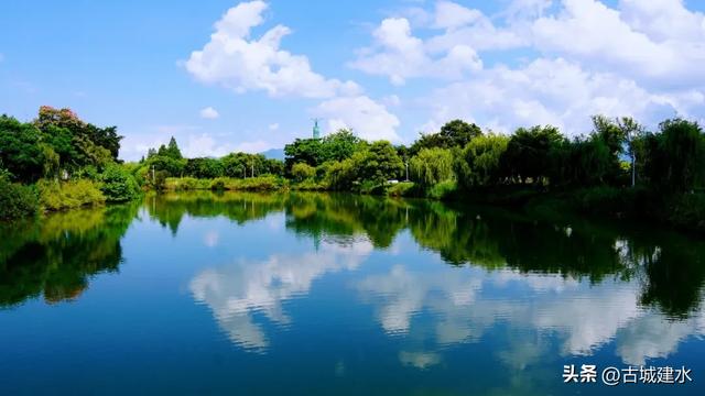 寻踪泸江烟柳·一段被时光遗忘的诗意画卷