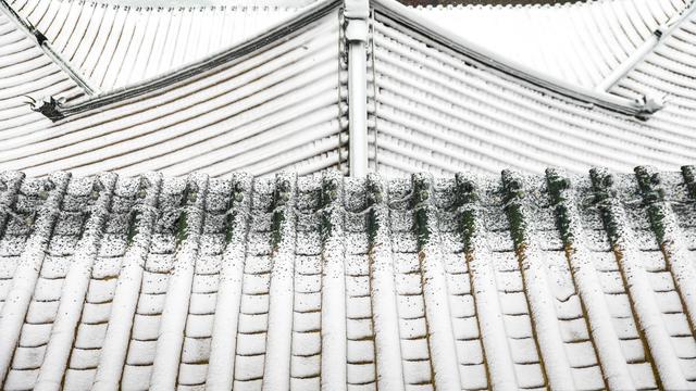 在台儿庄古城等一场青砖黛瓦的白色浪漫