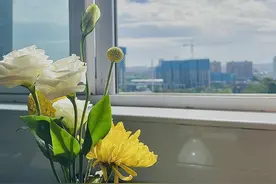 2024年全国名校模考作文（675）美是客观存在还是主观感受图片