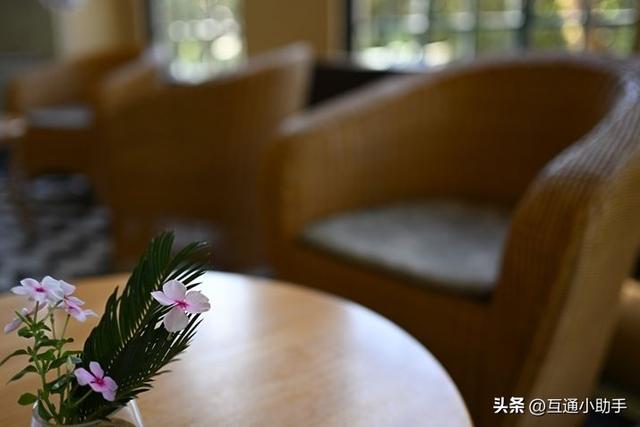 轻松尽享柔和虚化佳作!尼康「NIKKOR Z 35mm f/1.4」评测