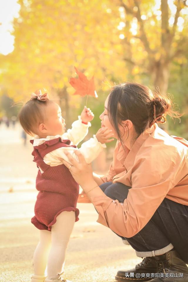 观山湖藏着一封金色情书，落款是银杏与梧桐（附最全攻略）