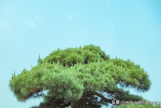 两性关系：男人过65岁，基本上都会有如下现状，具体表现是这样的