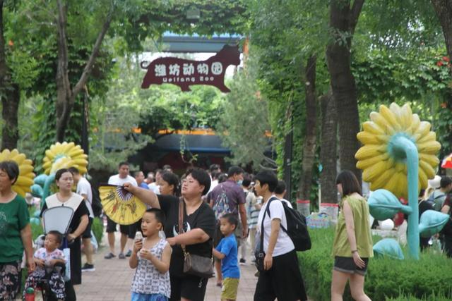 我得去金宝乐园玩了！