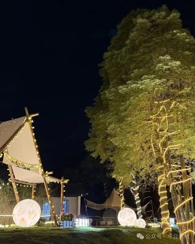 崇州「竹外星野」，一键开启懒人版山野治愈假期