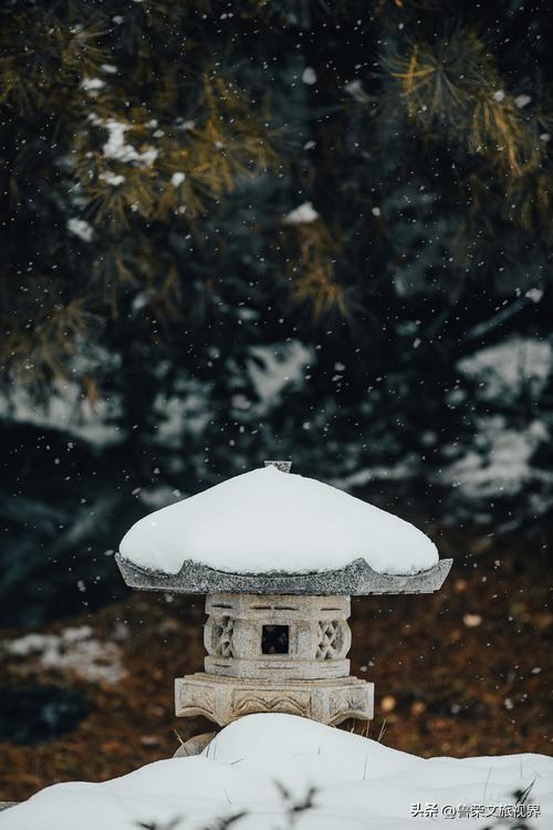 2025第一场雪赴长安：西安变回长安的素白之约