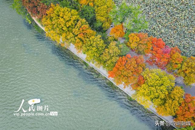 江苏南京：玄武湖秋景如画