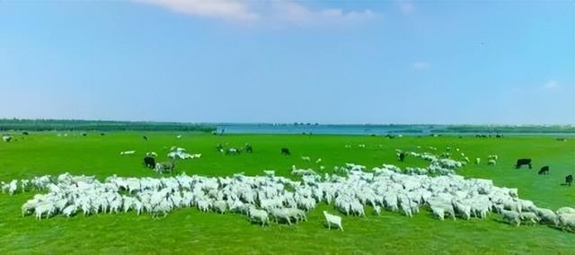 倒计时预警！包银高铁开通即封神，7城组队搞大事！