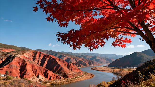 丹枫醉染云间岫，银杏金铺滇海秋 —— 昆明清秋觅胜长歌