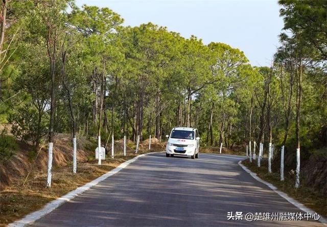 不限次入园！楚雄一景区门票年卡、优惠卡正在办理🤩