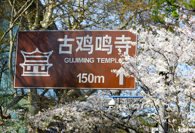 终于知道自己有多愚蠢了：南京还是太低调了，文旅都不上班吗？