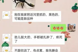 搞笑来了，沙雕段子伴你过周二图片