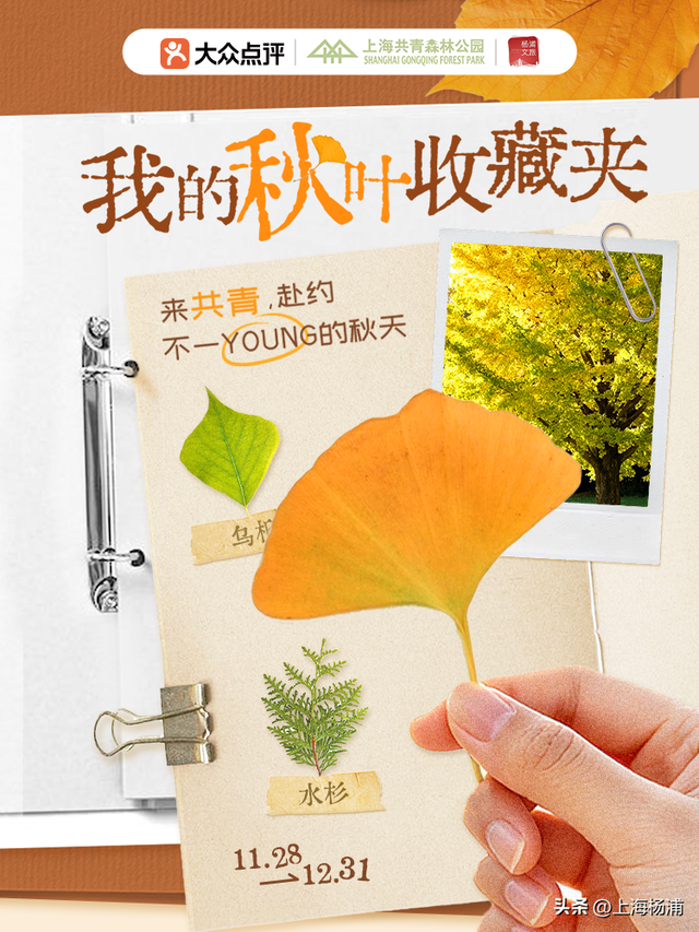 快来杨浦打卡！这条游玩线路有料又出片→